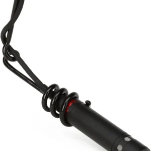 Audio Technica Pro45 hanging condenser microphone. A discreet way to capture group performances.