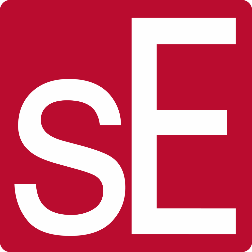 sE Electronics brand logo