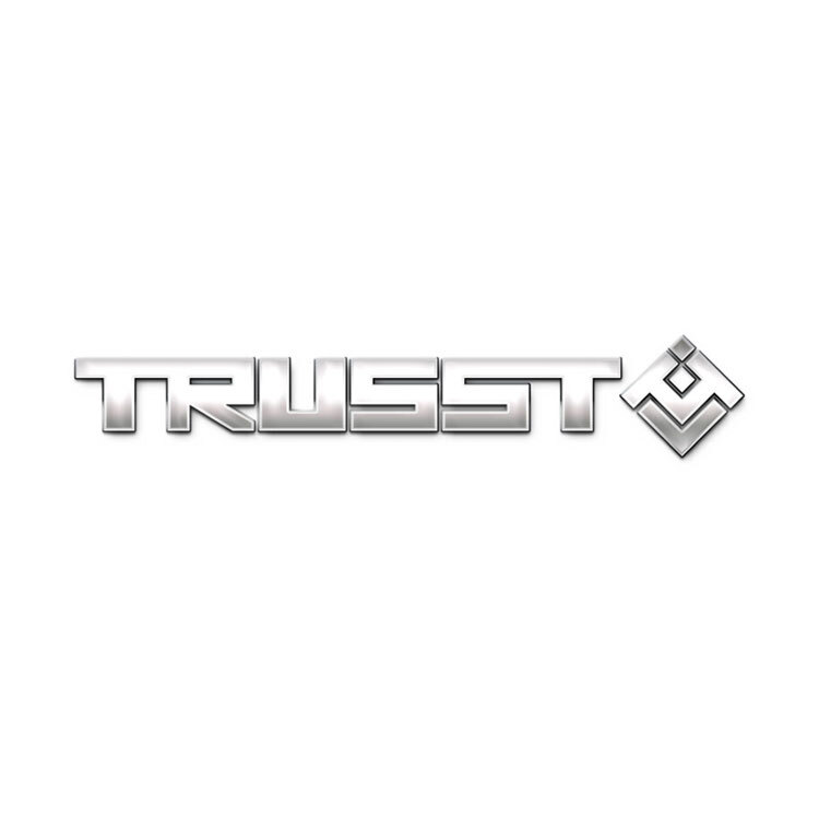 Trusst logo with silver embossed lettering and white background.