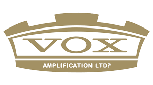 Vox logo gold