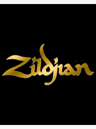 ziljian logo with shiny gold font and black background.